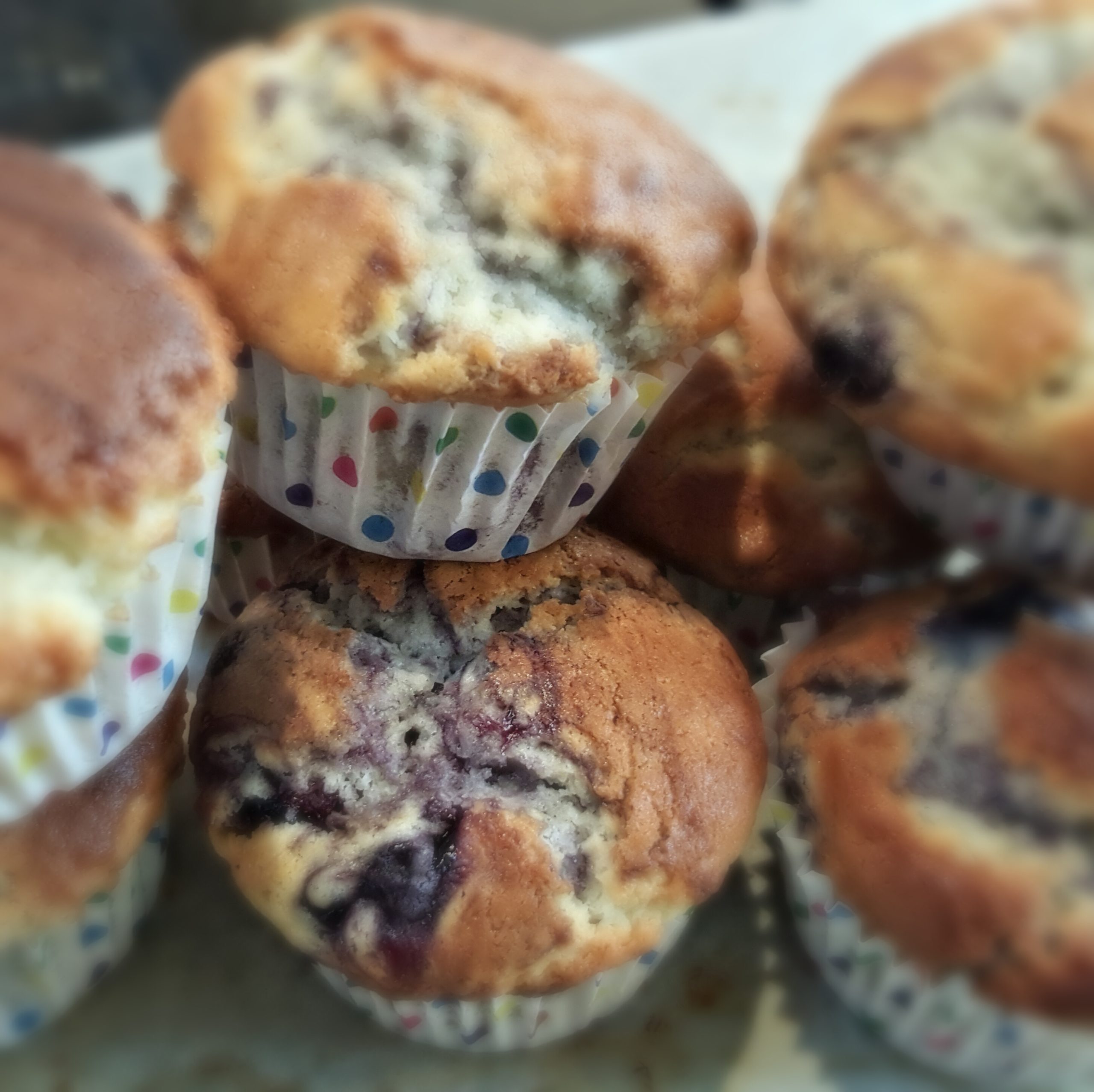 Crusty Blueberry Muffins