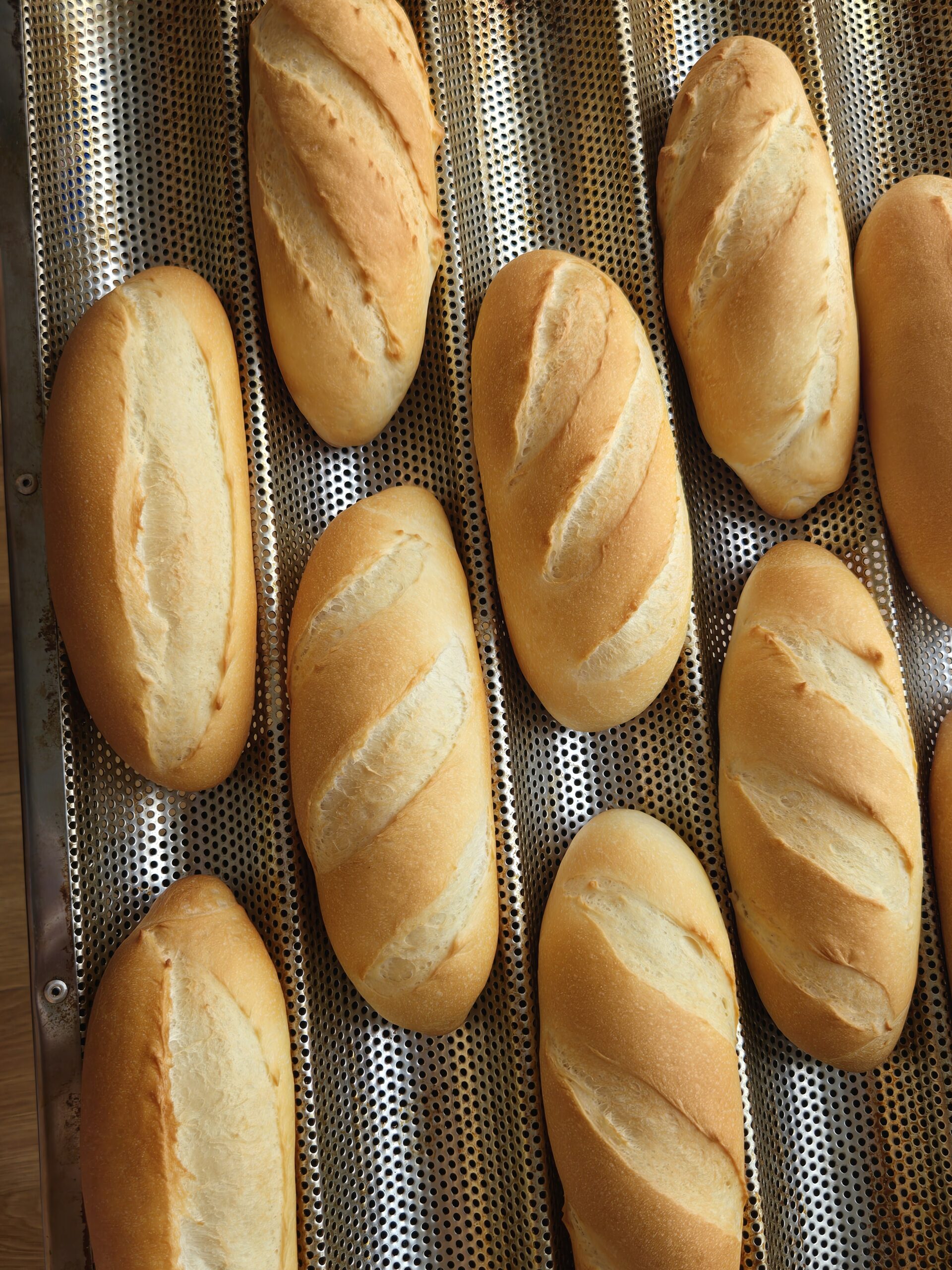 Eight finished bánh mì loaves on a perforated baking pan, golden brown crust with characteristic single slash